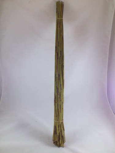 Koffieriet naturel 400 gr. 80 cm. lang